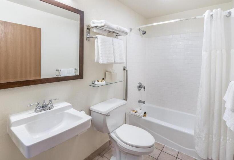 Номер Стандарт Адаптированный для Инвалидов, Best Western Plus Eagle Vail Valley