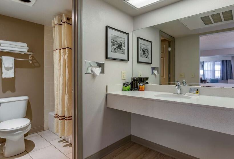 스탠다드 룸 더블 침대 2개, Best Western Plus Kings Inn And Suites