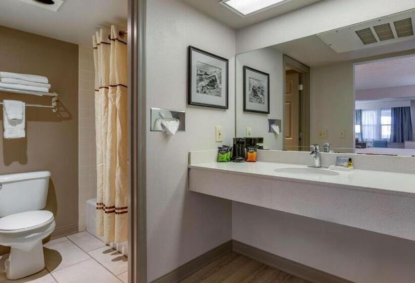 장애인을 위한 킹사이즈 침대 스탠다드 룸, Best Western Plus Kings Inn And Suites
