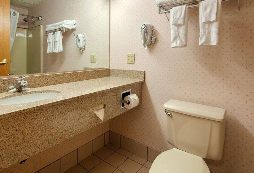 Люкс, Best Western Sault Ste. Marie