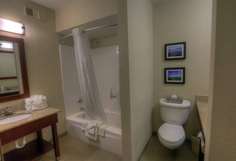 Номер Стандарт 2 Двуспальные Кровати, Comfort Inn & Suites Rochelle   Dekalb
