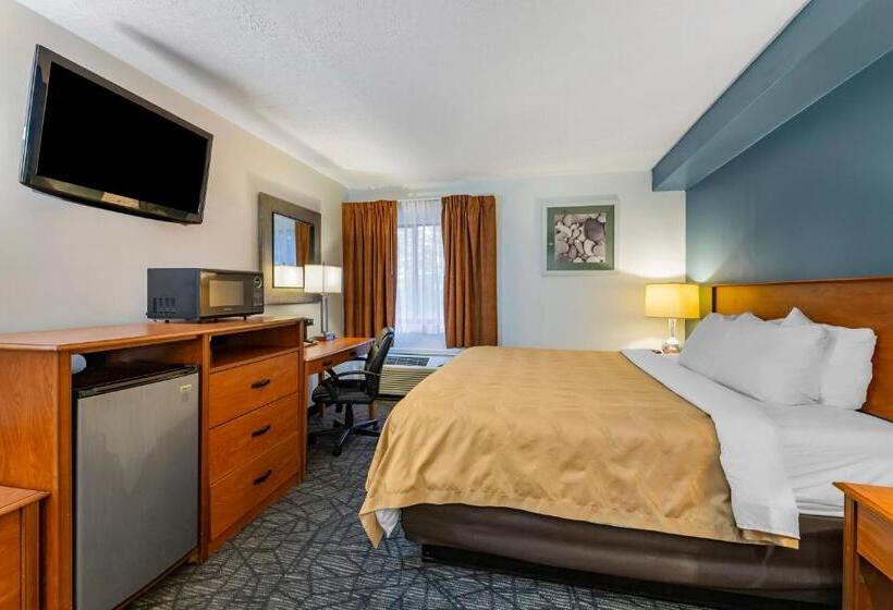 Стандартный Номер Кровать Кинг, Quality Inn Austintown Youngstown West