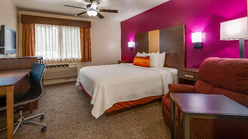 带大床的标准间, Best Western Pineywoods Inn