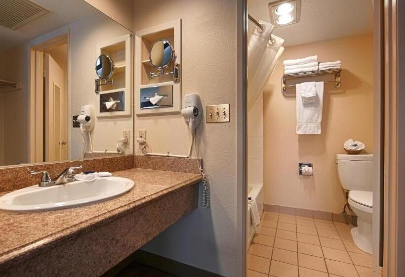 스탠다드 룸 킹사이즈 침대, Best Western Westminster Inn