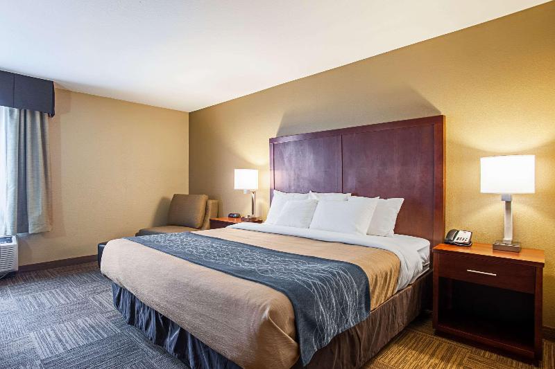 带大床的标准间, Comfort Inn & Suites Sea Tac Airport