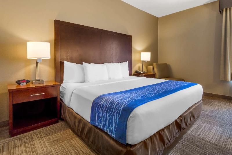 带大床的标准间, Comfort Inn & Suites Sea Tac Airport