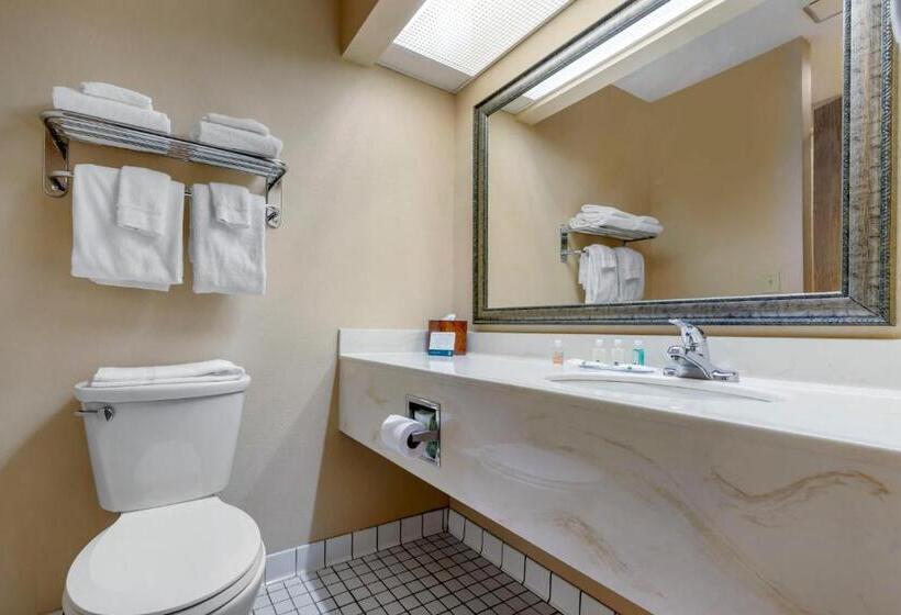 Стандартный Номер Кровать Кинг, Quality Inn St Cloud West