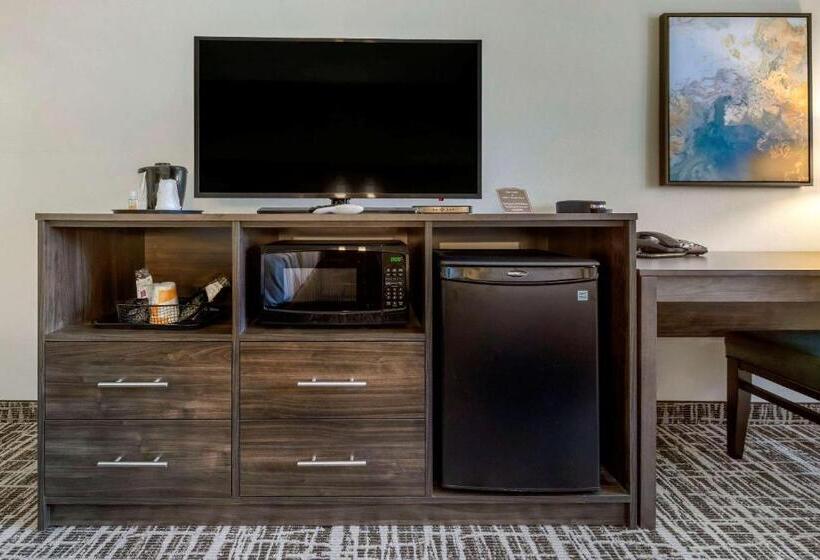 Номер Стандарт, Quality Inn St Cloud West