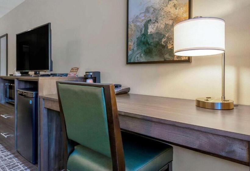 Номер Стандарт Кровать Кинг Адаптированный для Инвалидов, Quality Inn St Cloud West