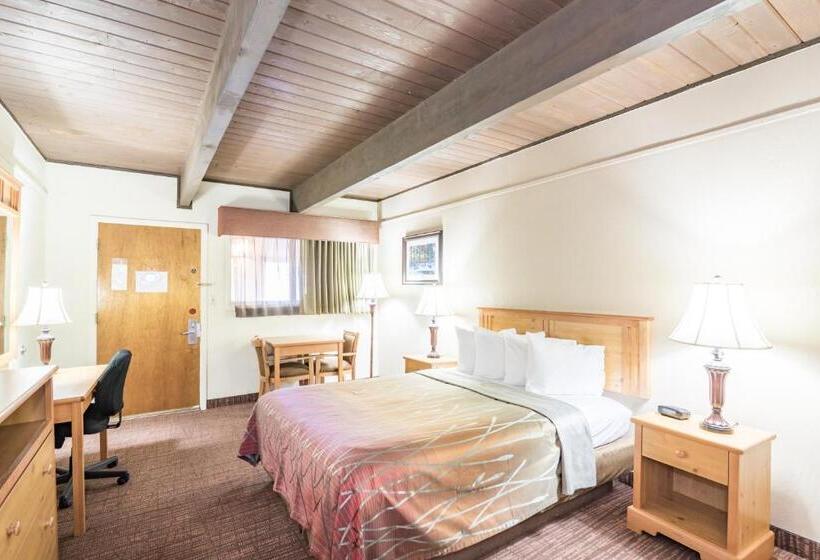 اتاق استاندارد یک نفره, Teton West Motel