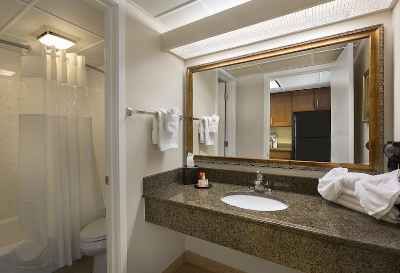Номер Стандарт 2 Двуспальные Кровати, Coral Beach Resort