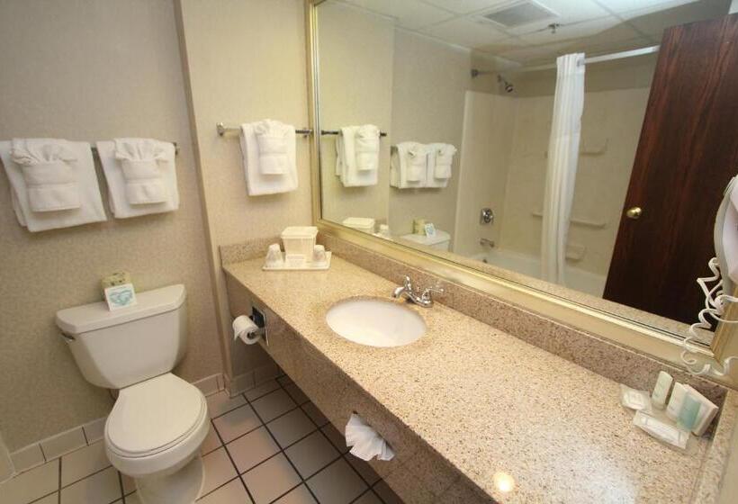 Standard Værelse, Black Bear Inn & Suites