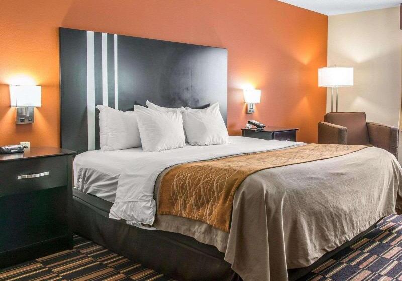 Стандартный Номер Кровать Кинг, Comfort Inn Maumee  Perrysburg Area