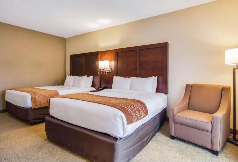 스탠다드 룸, Comfort Inn Roswelldunwoody