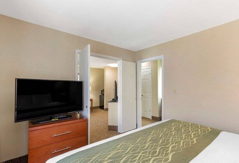 스위트, Comfort Inn & Suites  Near Robins Air Force Base Main Gate