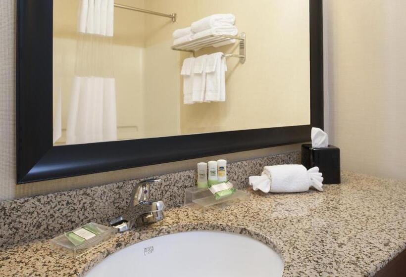 Стандартный Номер Кровать Кинг, Country Inn & Suites By Radisson, Holland, Mi