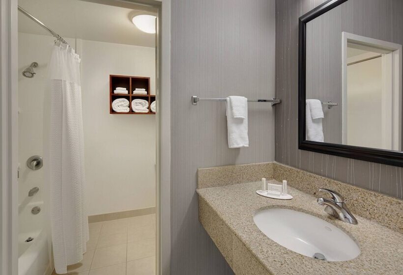 Quarto Estandar 2 Camas Casal, Courtyard Atlanta Marietta/i75 North
