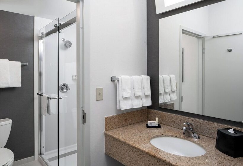 اتاق استاندارد با 2 تخت دوبل, Courtyard By Marriott Dulles Airport Herndon/reston