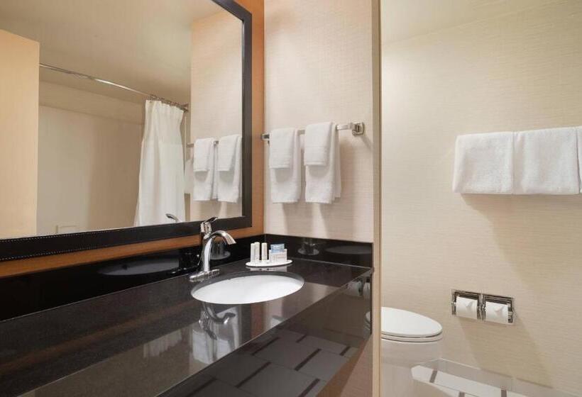 장애인을 위한 킹사이즈 침대 스탠다드 룸, Fairfield Inn By Marriott Laurel