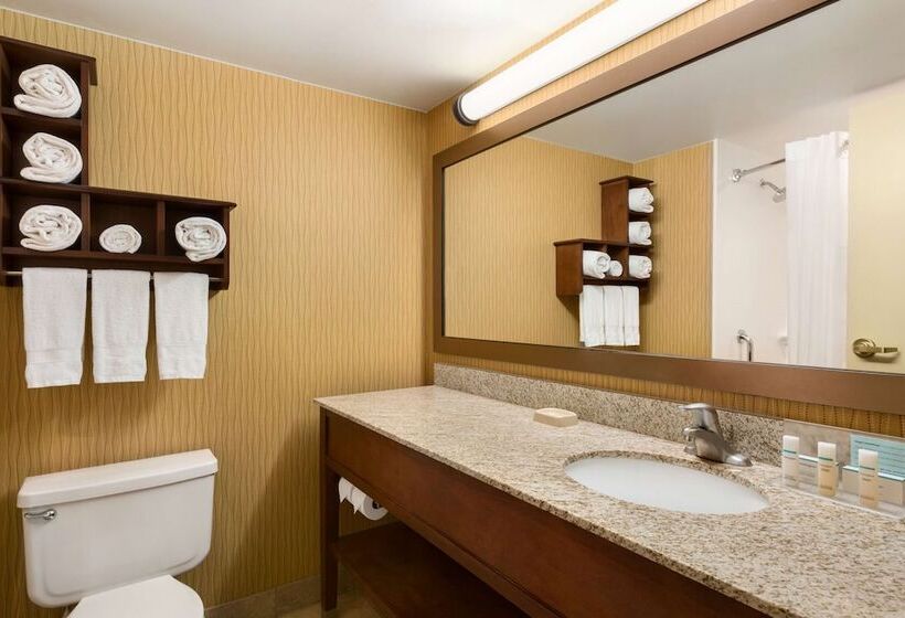 스탠다드 룸, Hampton Inn Denver West Federal Center