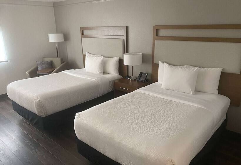 ２ダブルベッドのスタンダードルーム, La Quinta By Wyndham Ft Lauderdale Cypress Creek
