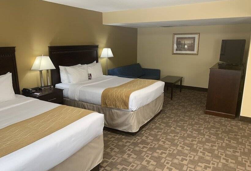 장애인을 위한 스위트, Quality Inn Asheboro South