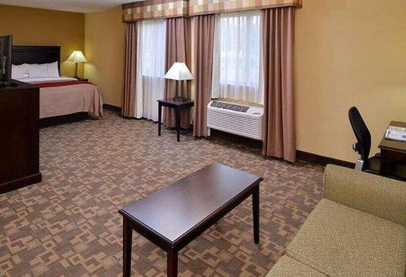 스위트 킹사이즈 침대, Quality Inn Asheboro South