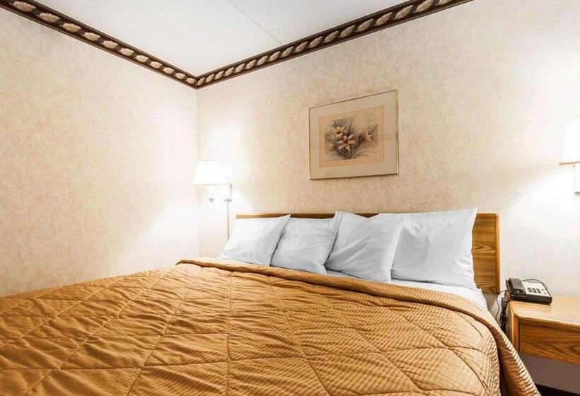 Стандартный Номер Кровать Кинг, Rodeway Inn