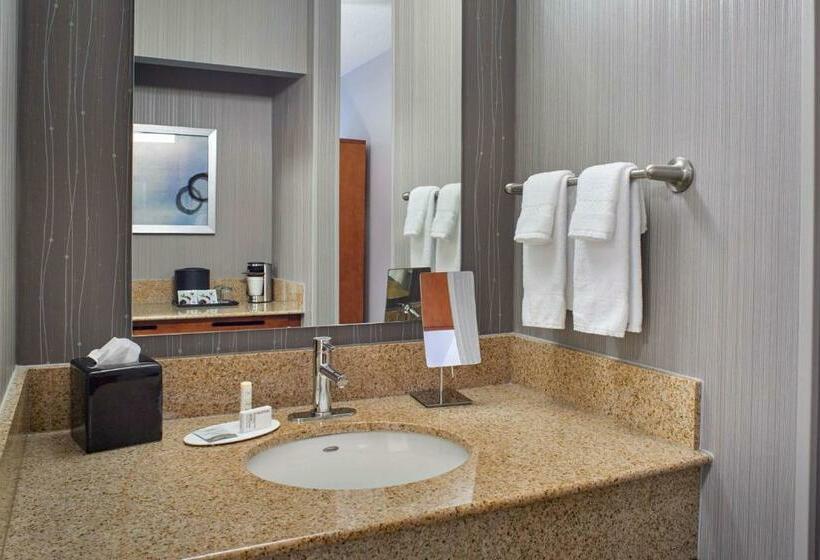 Номер Стандарт, Sonesta Select Minneapolis Eden Prairie