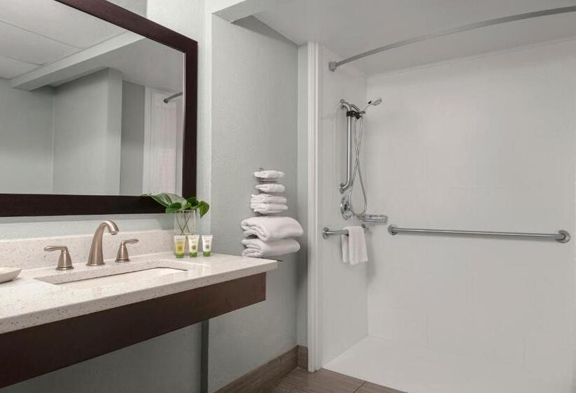 Номер Deluxe Кровать Кинг, Dolphin Beach Resort