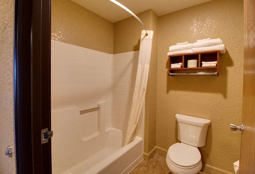 Номер Стандарт 2 Двуспальные Кровати, Best Western Harbour Pointe Lakefront