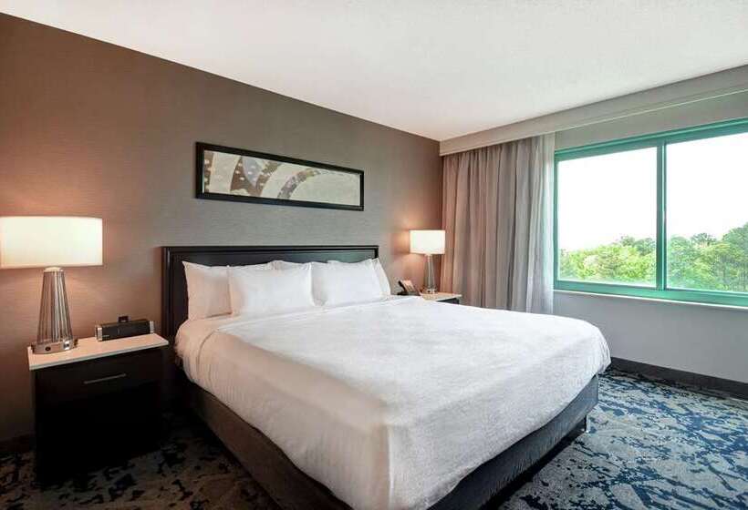 Suite Lit King, Embassy Suites By Hilton Austin Downtown South Congress