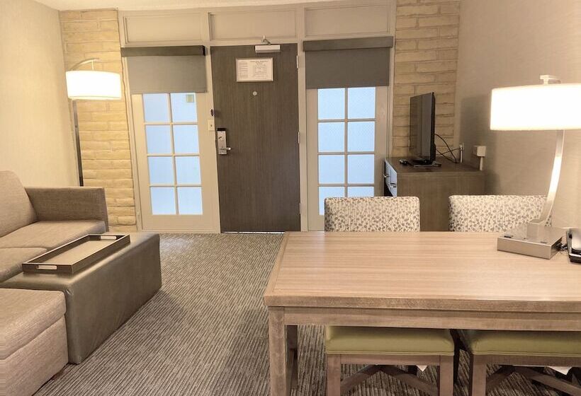 Suite, Embassy Suites By Hilton Chicago Schaumburg Woodfield