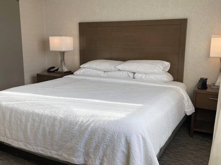 Suite King Size Seng, Embassy Suites By Hilton Chicago Schaumburg Woodfield