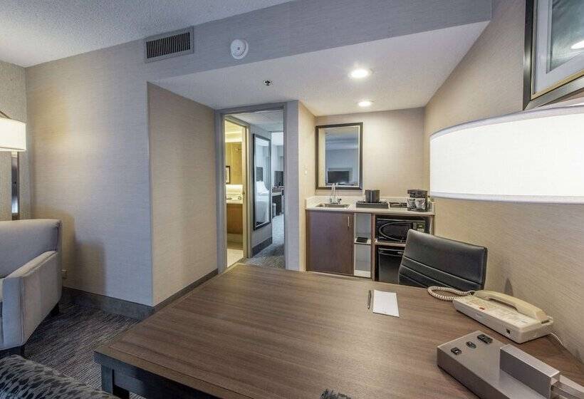 Suite, Embassy Suites By Hilton Chicago Schaumburg Woodfield