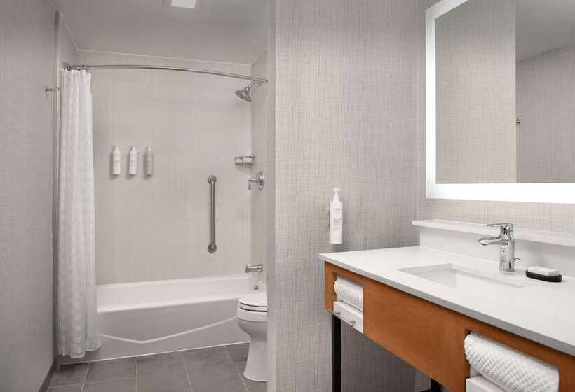 Suite, Embassy Suites By Hilton Chicago Schaumburg Woodfield