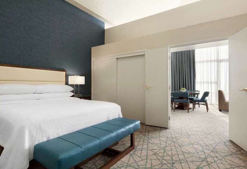 Suite King Size Seng, Embassy Suites By Hilton Chicago Schaumburg Woodfield