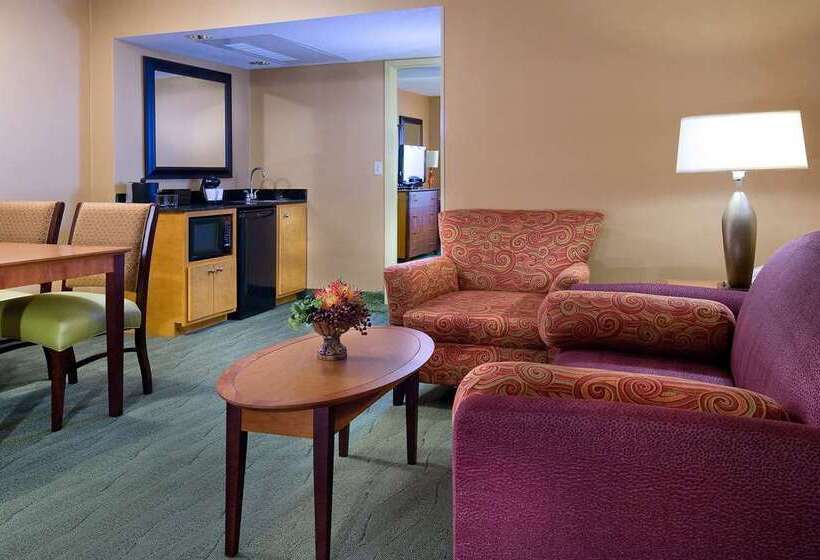 Suite King Size Seng, Embassy Suites By Hilton Chicago Schaumburg Woodfield