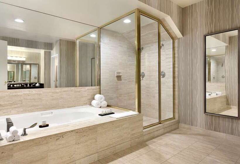 Suite King Size Seng, Embassy Suites By Hilton Chicago Schaumburg Woodfield