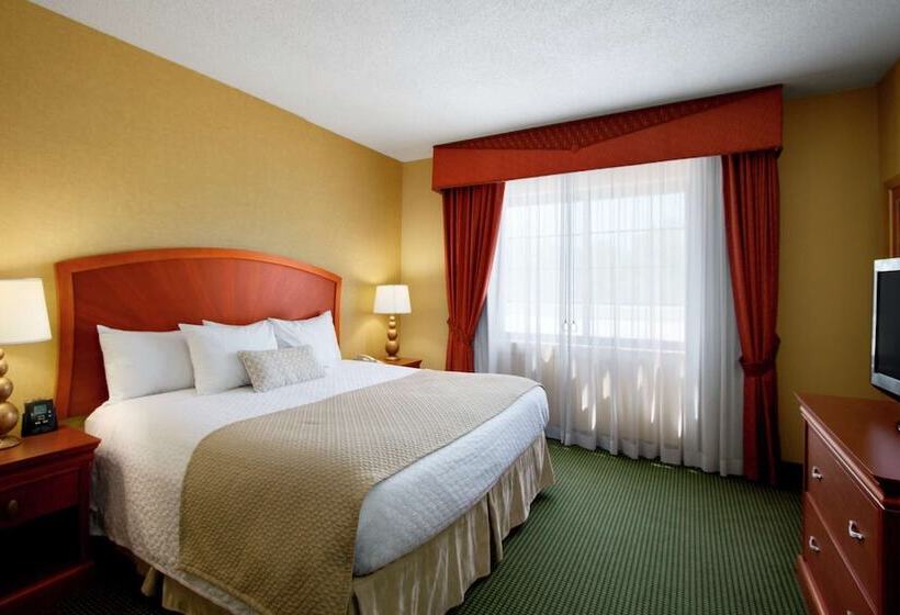 高级套房, Embassy Suites By Hilton Greensboro Airport