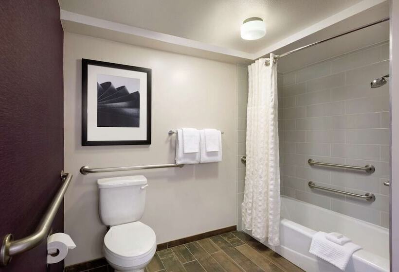Номер Стандарт 2 Двуспальные Кровати, Embassy Suites By Hilton Santa Ana Orange County Airport