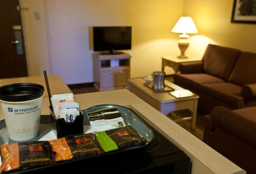 Номер Стандарт 2 Двуспальные Кровати, Wyndham El Paso Airport  And Water Park