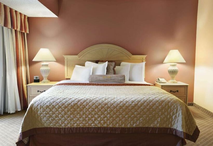 Quarto Estandar 2 Camas Casal, Wyndham El Paso Airport  And Water Park