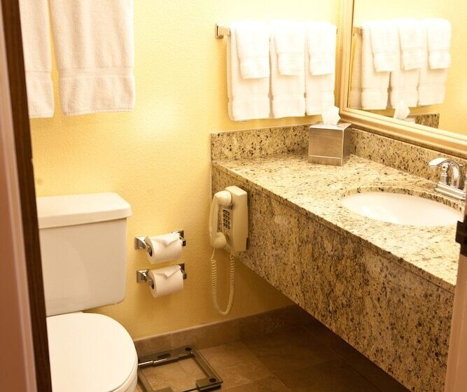 Президентский Люкс, Wyndham El Paso Airport  And Water Park