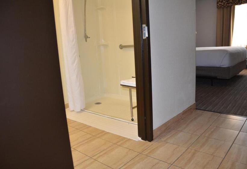 Mozgáskorlátozott Standard Szoba, Radisson Hotel Schaumburg