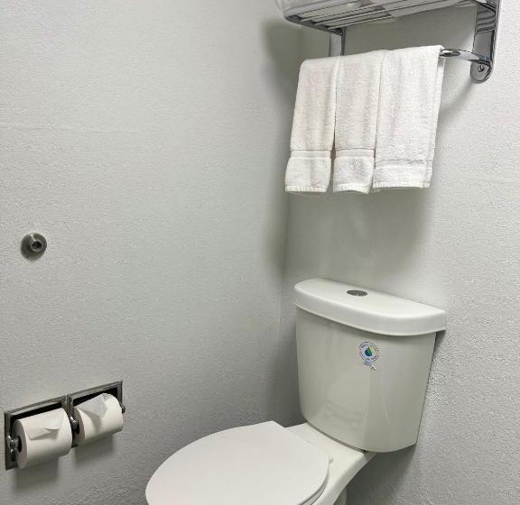 Standard Szoba, Radisson Hotel Schaumburg