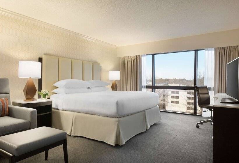 Полулюкс, Hilton Greenville