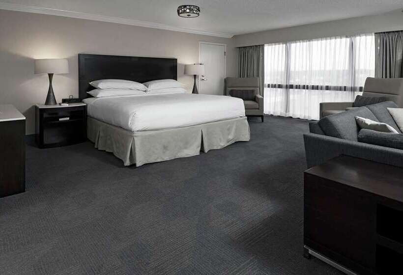 Номер Стандарт, Hilton Greenville