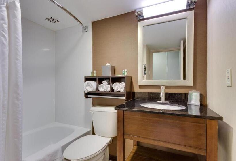 Номер Стандарт, Holiday Inn Express Washington Dc Sw   Springfield By Ihg