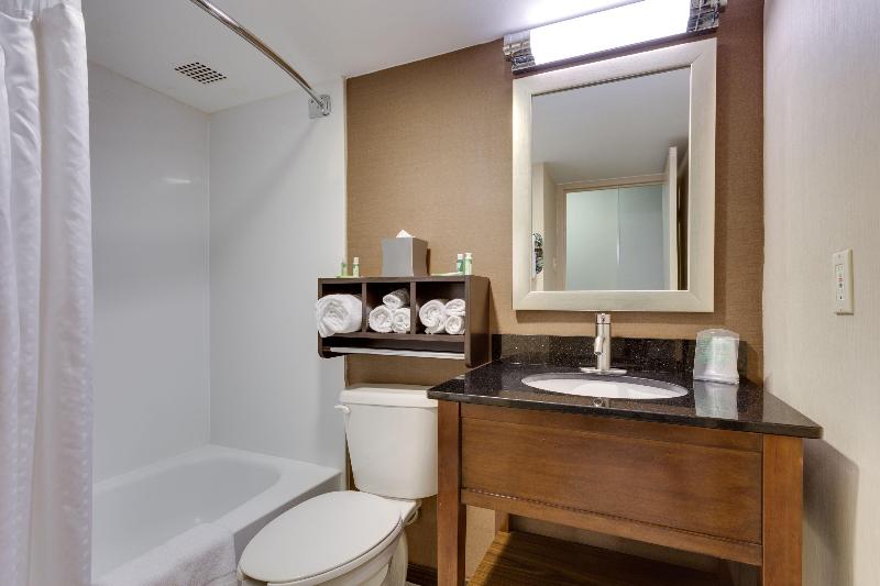 Номер Executive Кровать Кинг, Holiday Inn Express Washington Dc Sw   Springfield By Ihg